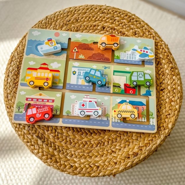 Medinis labirintas, transporto priemonės, TOOKY TOY