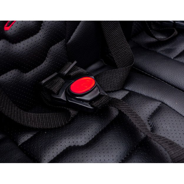 Dvivietis elektromobilis bagis Maverick Turbo RR, žalias