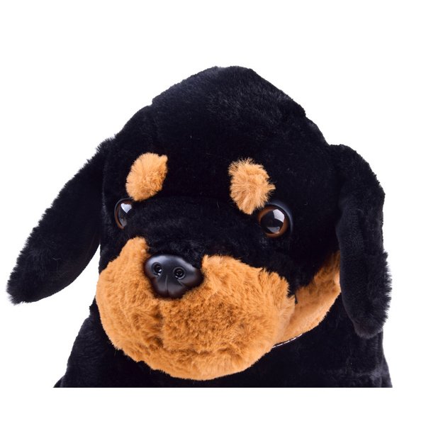 Pliušinis šuo 45cm