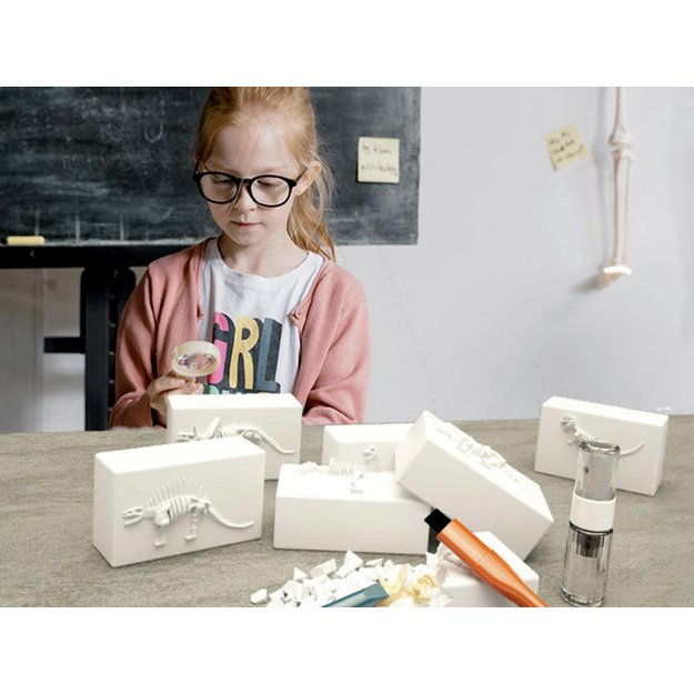 Archeologinių kasinėjimų rinkinys 6in1 „Dinozaurai“ 
