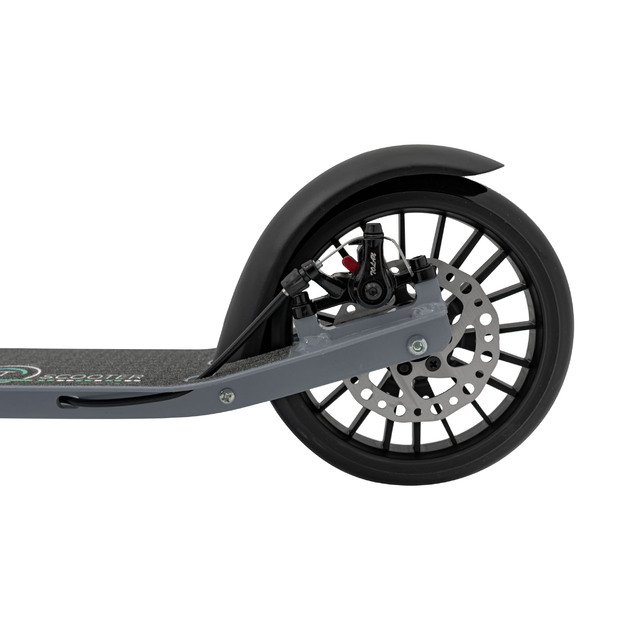 Paspirtukas vaikams SporTrike, sidabrinis