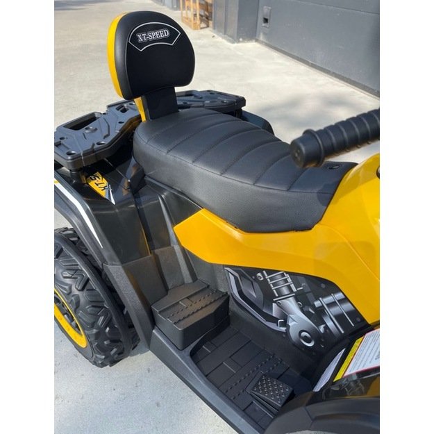 Elektrinis keturratis vaikams 4x4 320W 24 V, žalias 6