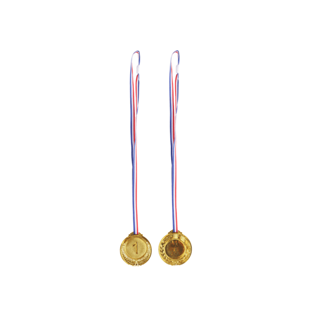 Auksinis pirmosios vietos medalis 6,5 cm