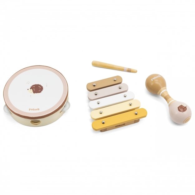 Muzikos instrumentų rinkinys vaikams su ežiuko motyvu, VIGA PolarB 1