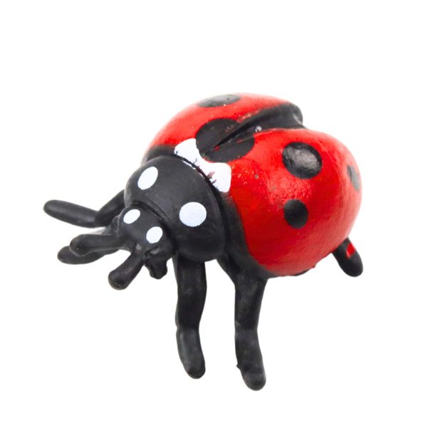 Mini vabzdžių figūrėlių rinkinys 4–6 cm, 6 vnt. 4