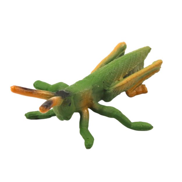 Mini vabzdžių figūrėlių rinkinys 4–6 cm, 6 vnt. 6