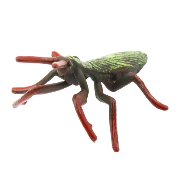 Mini vabzdžių figūrėlių rinkinys 4–6 cm, 6 vnt. 1