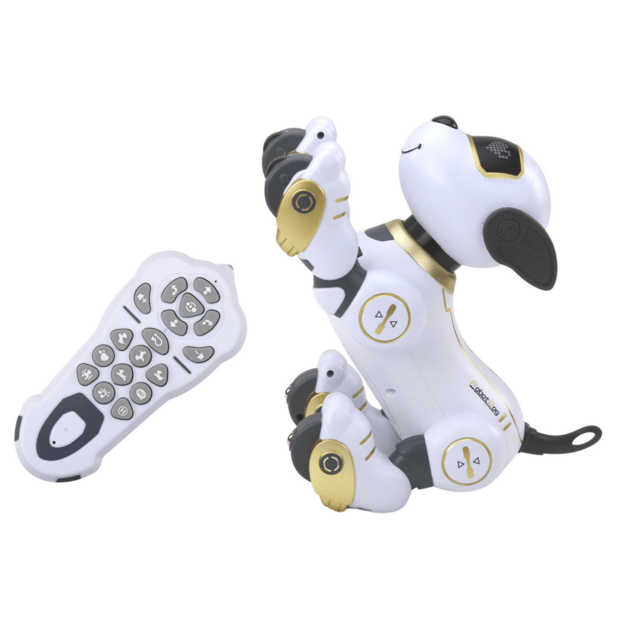Nuotoliniu būdu valdomas robotas šuo, auksinis