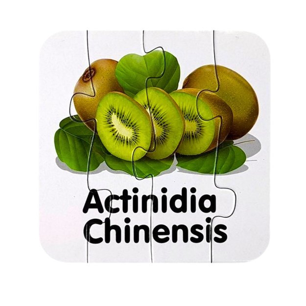 Mokomoji dėlionė - Vaisiai 10 pav. anglų kalba 3 Mokomoji dėlionė - Vaisiai 10 pav. anglų kalba 3