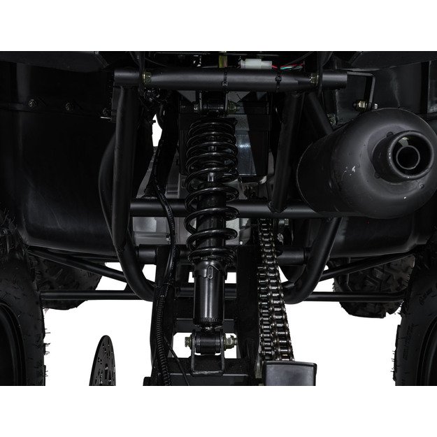 Benzininis keturratis vaikams 200CC MONSTER, mėlynas