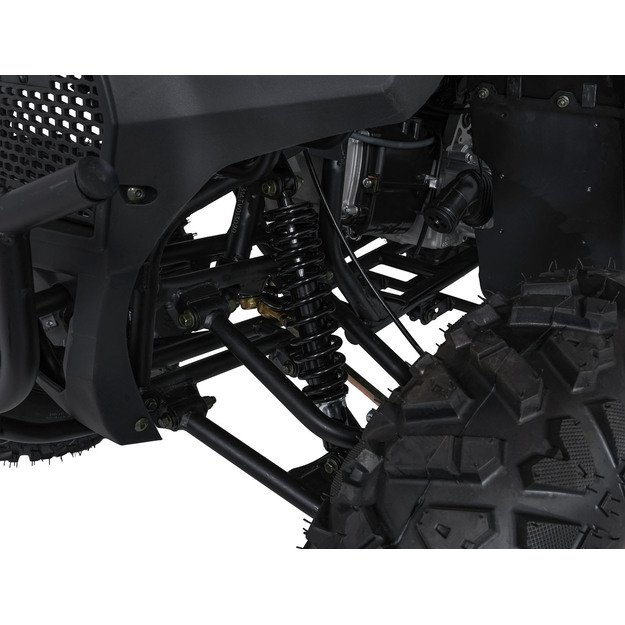 Benzininis keturratis vaikams 200CC MONSTER, mėlynas