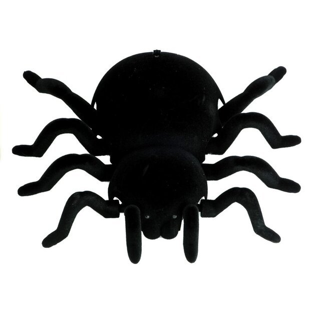 Didelis nuotoliniu būdu valdomas interaktyvus voras - tarantula 6