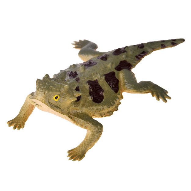 Driežų rinkinys 6 vnt.