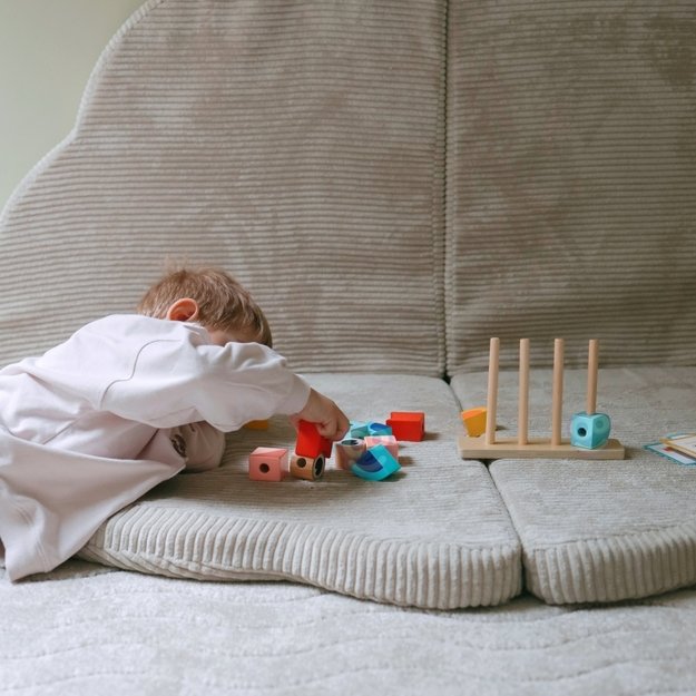 Kūrybinis medinių kaladėlių rinkinys, krabas, TOOKY TOY