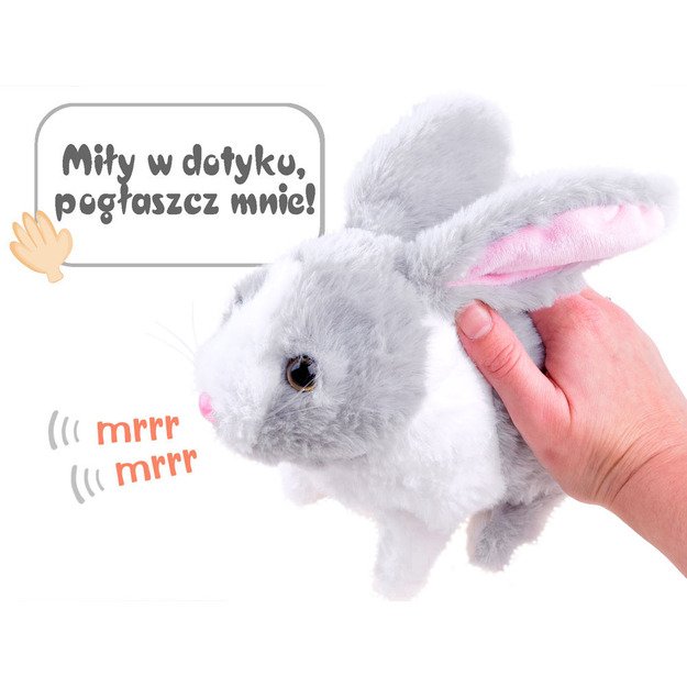 Interaktyvus pilkas triušis su morka