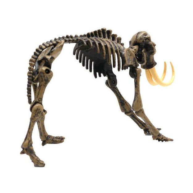 Archeologinis rinkinys mamuto 3D skeletas