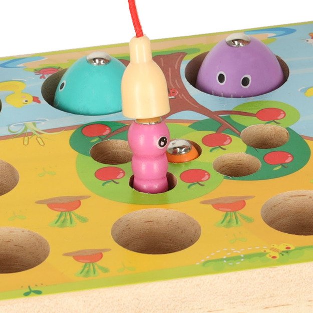 Magnetinis žvejybos žaidimas, 3in1