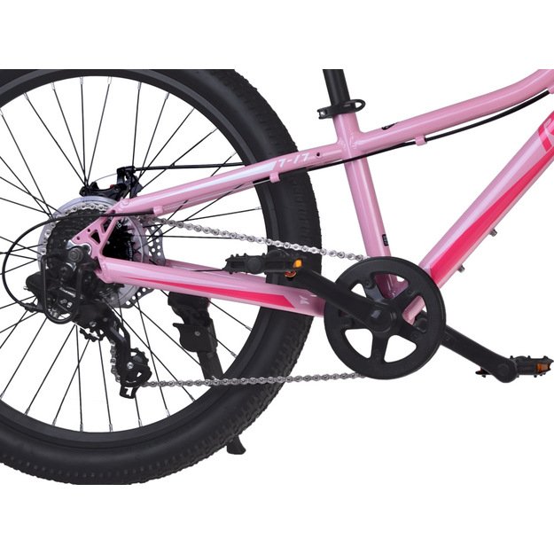Dviratis vaikams ir paaugliams 24" STUDENT BICYCLE, rožinis, Royal Baby
