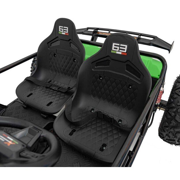Dvivietis elektromobilis bagis GENERAL 63 800W, žalias