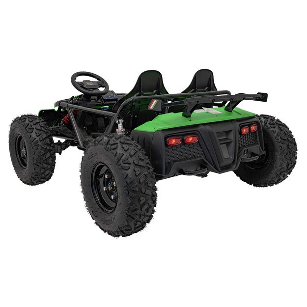 Dvivietis elektromobilis bagis GENERAL 63 800W, žalias