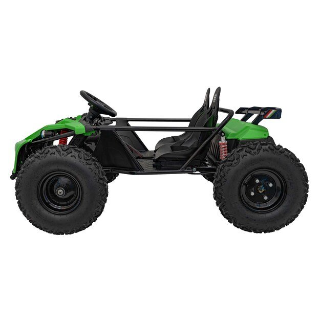 Dvivietis elektromobilis bagis GENERAL 63 800W, žalias