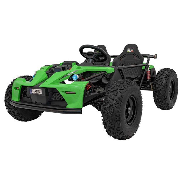 Dvivietis elektromobilis bagis GENERAL 63 800W, žalias