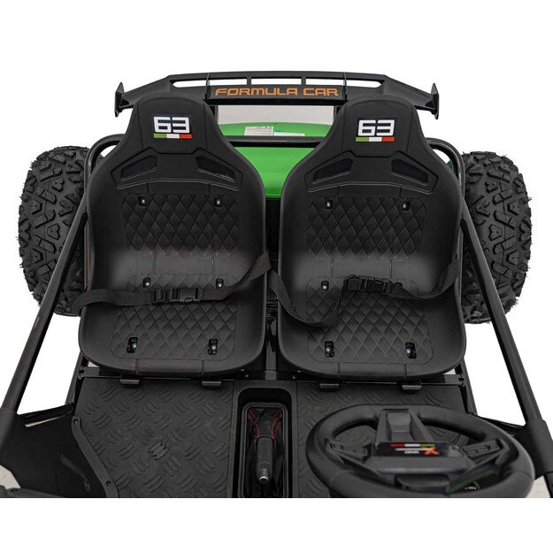 Dvivietis elektromobilis bagis GENERAL 63 800W, žalias