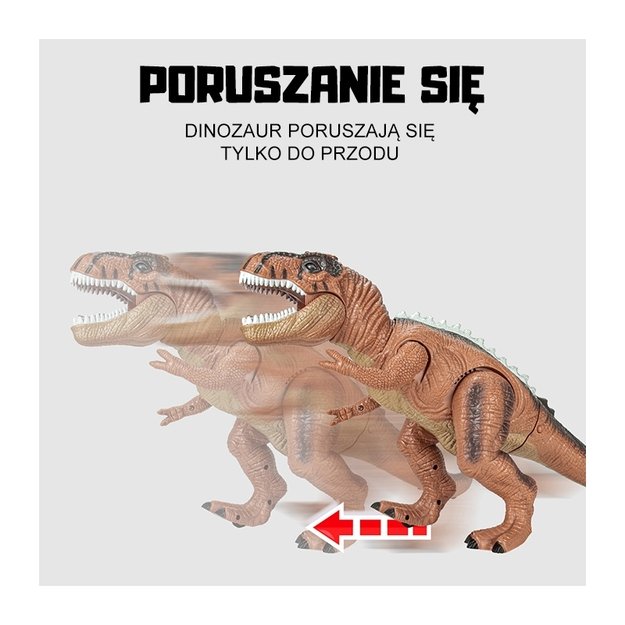 Nuotoliniu būdu valdomas dinozauras T-Rex, WOOPIE 4