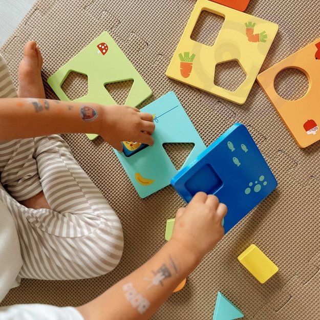 Montessori dėlionė formos, spalvos, gyvūnai, Tooky Toy