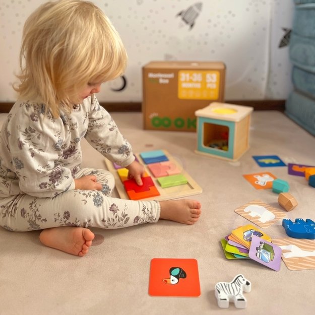 Lavinamoji Montessori dėžutė 7in1, 31-36 mėn, Tooky Toy