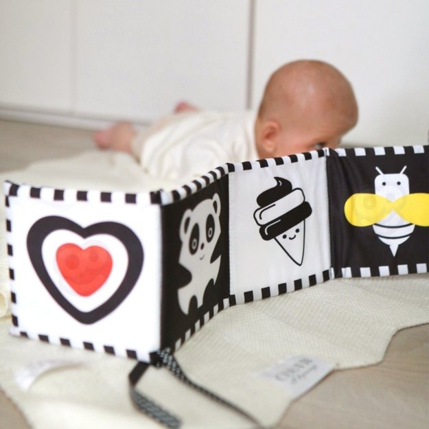 Lavinamoji Montessori dėžutė 7in1, 0-2 mėn, Tooky Toy