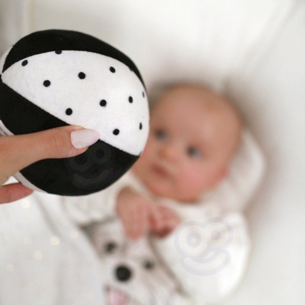 Lavinamoji Montessori dėžutė 7in1, 0-2 mėn, Tooky Toy