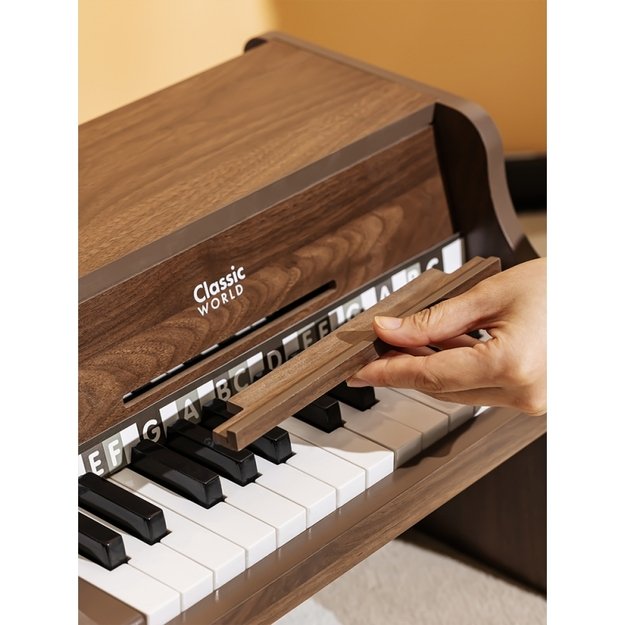 Medinis klasikinis pianinas vaikams su mokomąja knyga, CLASSIC WORLD 6