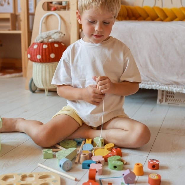 Montessori edukacinė dėžutė vaikams „Magic Garden“ 5in1, TOOKY TOY 8