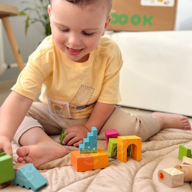 Lavinamasis Montessori rinkinys 7in1, Tooky Toy