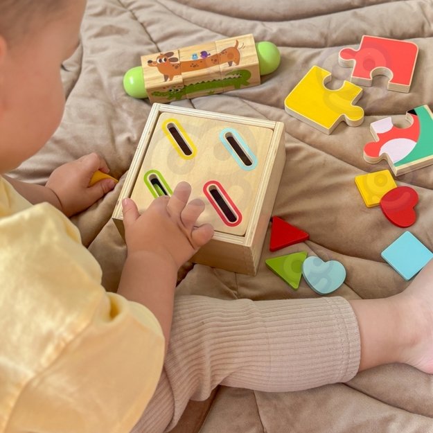 Lavinamasis Montessori rinkinys 7in1, Tooky Toy