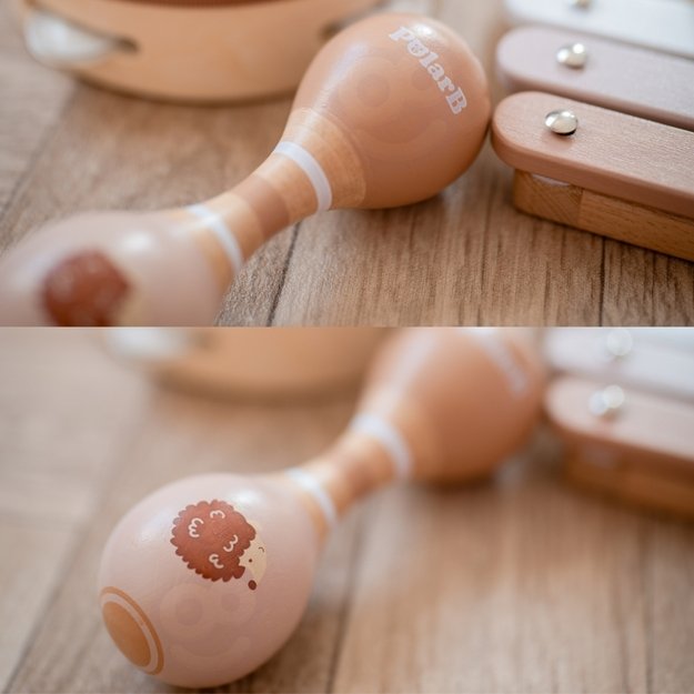 Muzikos instrumentų rinkinys vaikams su paukščio motyvu, VIGA PolarB 2