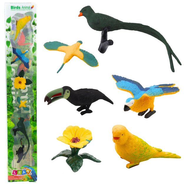 Mini egzotinių paukščių figūrėlių rinkinys 4–11 cm, 6 vnt.