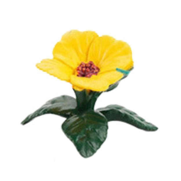 Mini egzotinių paukščių figūrėlių rinkinys 4–11 cm, 6 vnt. 6