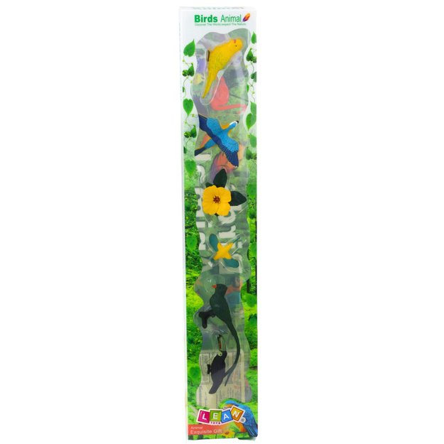 Mini egzotinių paukščių figūrėlių rinkinys 4–11 cm, 6 vnt. 7