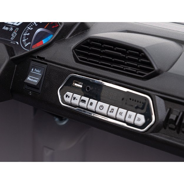 Dvivietis elektromobilis bagis Auto Buggy Racing 5, 24V, pilkas