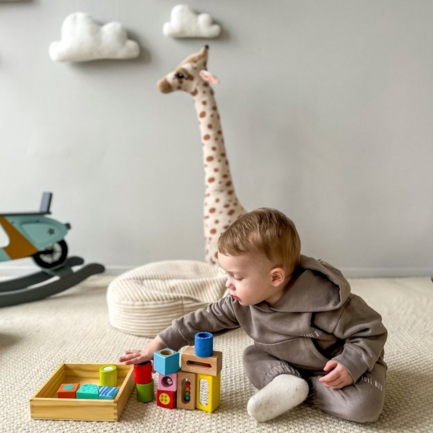 Medinių daugiafunkcinių kaladėlių rinkinys 12 el, TOOKY TOY