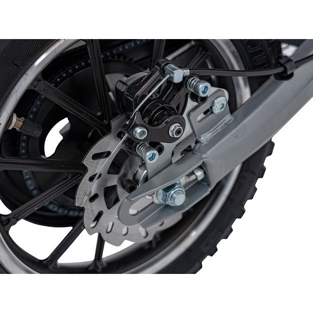 Vaikiškas elektrinis motociklas RENEGADE 50R, žalias
