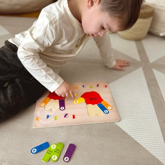 Mokomoji medinė dėlionė, rankos ir kojos, TOOKY TOY