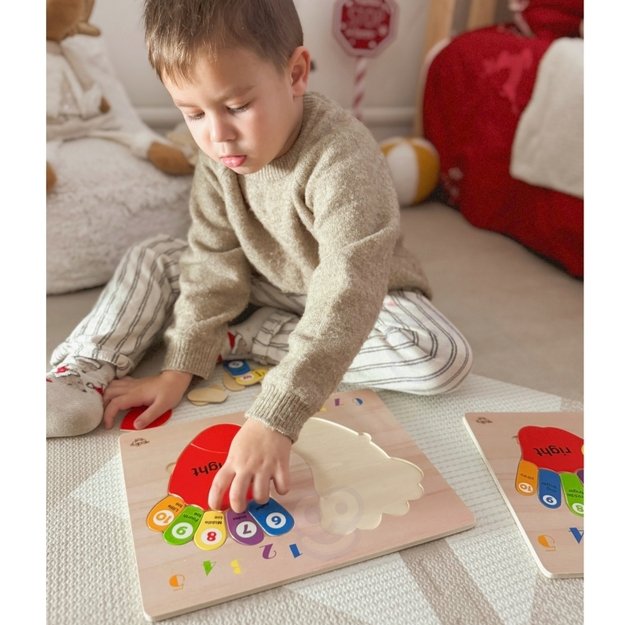 Mokomoji medinė dėlionė, rankos ir kojos, TOOKY TOY