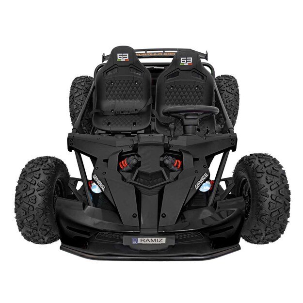 Dvivietis elektromobilis bagis GENERAL 63 800W, juodas