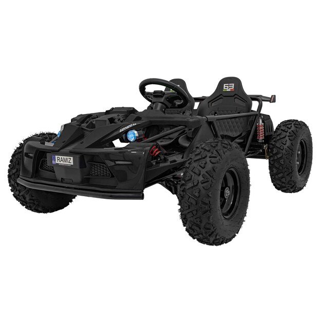 Dvivietis elektromobilis bagis GENERAL 63 800W, juodas