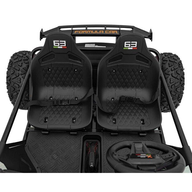 Dvivietis elektromobilis bagis GENERAL 63 800W, juodas