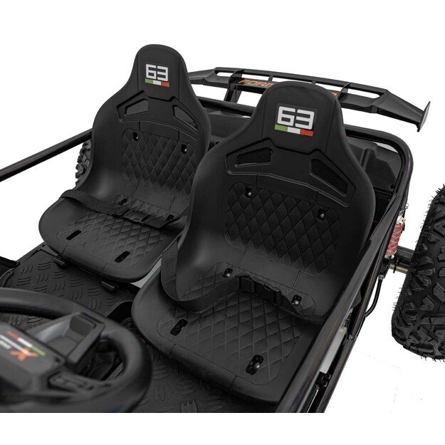 Dvivietis elektromobilis bagis GENERAL 63 800W, juodas
