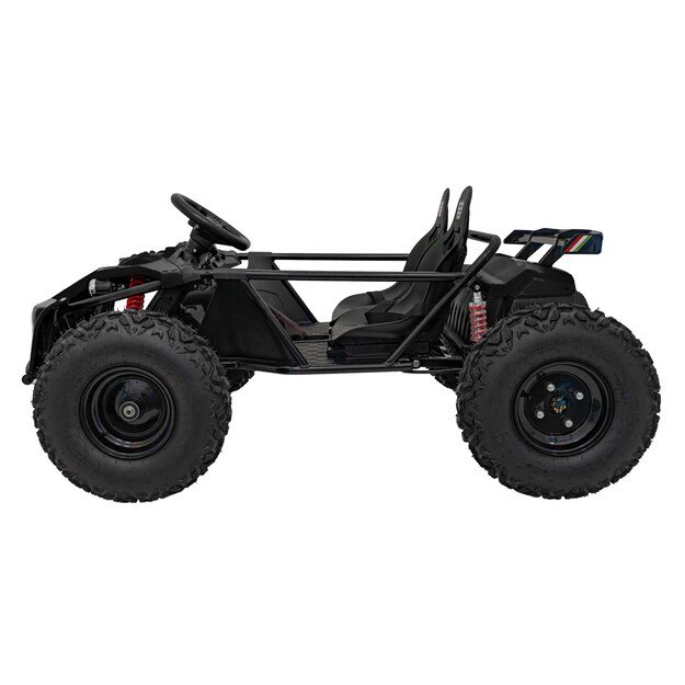 Dvivietis elektromobilis bagis GENERAL 63 800W, juodas